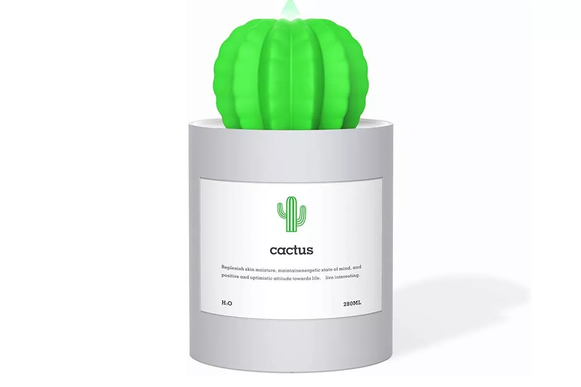Amusend Mini Cactus Humidifier