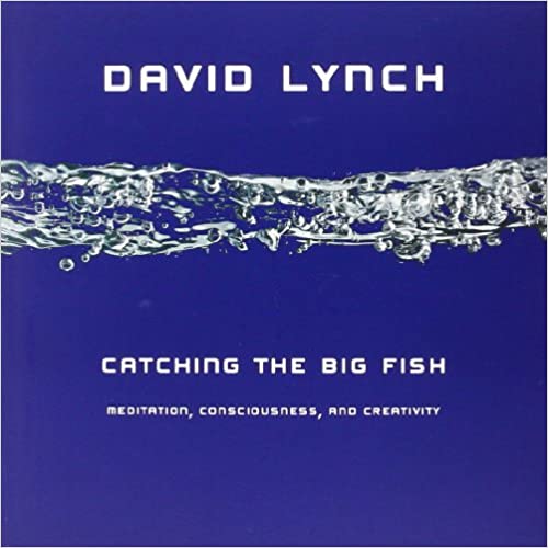 catching the big fish book cover