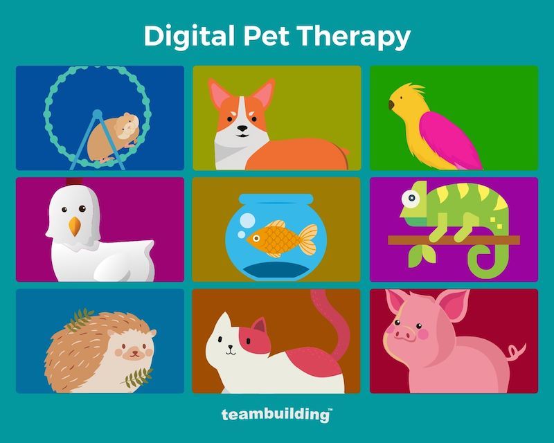 Digital Pet Therapy Banner