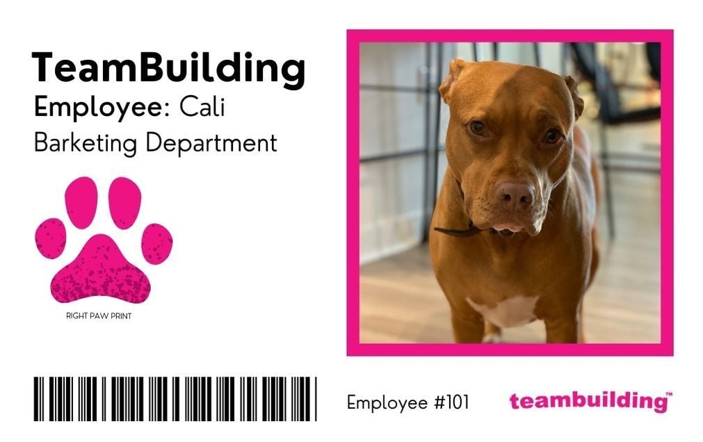 Pet ID Badge With a Dog that Says Barketing Department