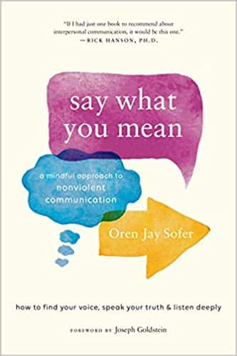 Say what you mean book cover