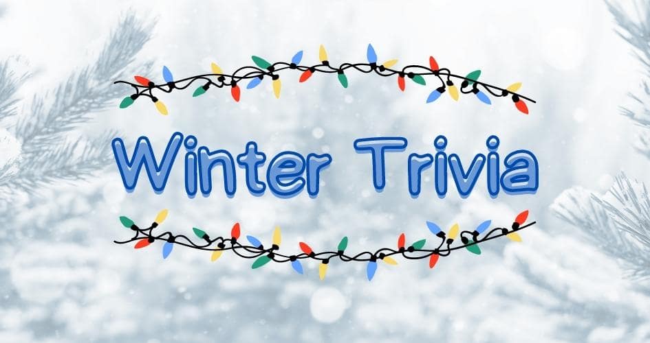 winter trivia banner